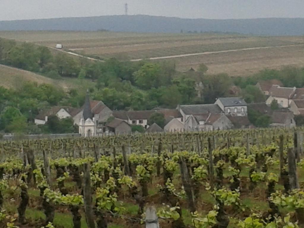 Hotel Le Clos Saint Martin Sancerre Exterior foto