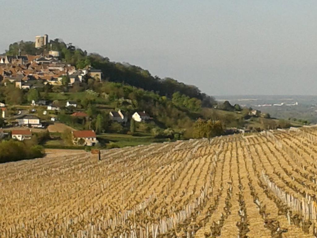 Hotel Le Clos Saint Martin Sancerre Exterior foto